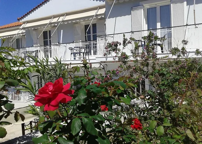 Aggelos Kefalonia Lassi * לאסי